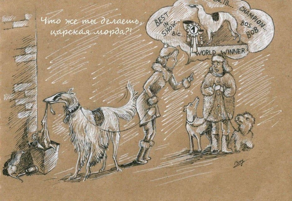 Афганская борзая и салюки
