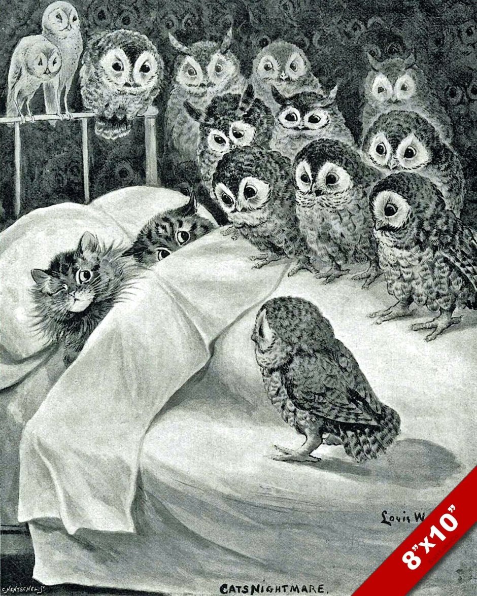 Птица спит
