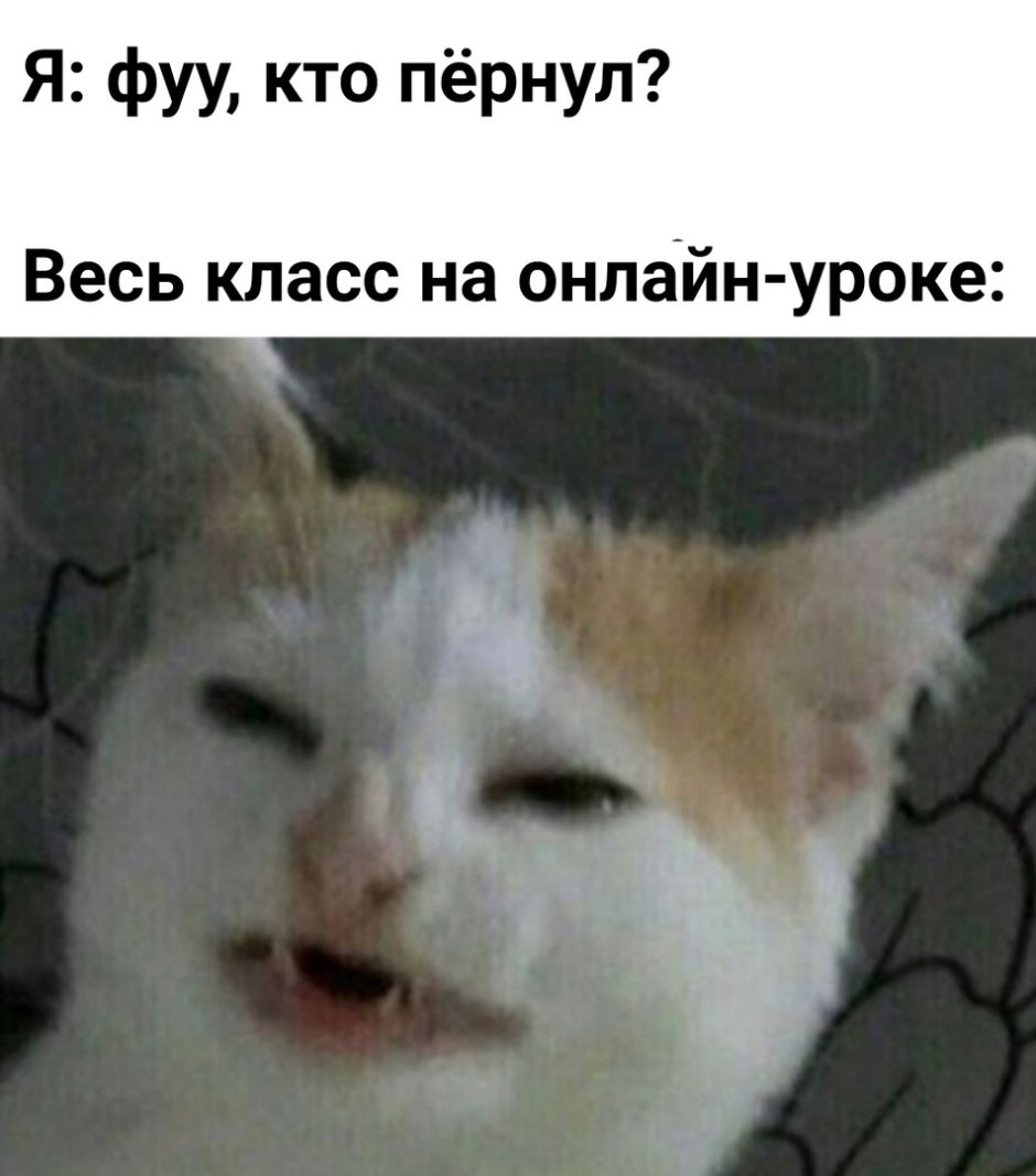 Человечность восстановлена Мем