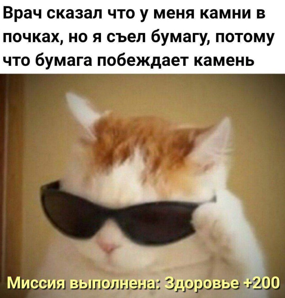 Кот держится за голову