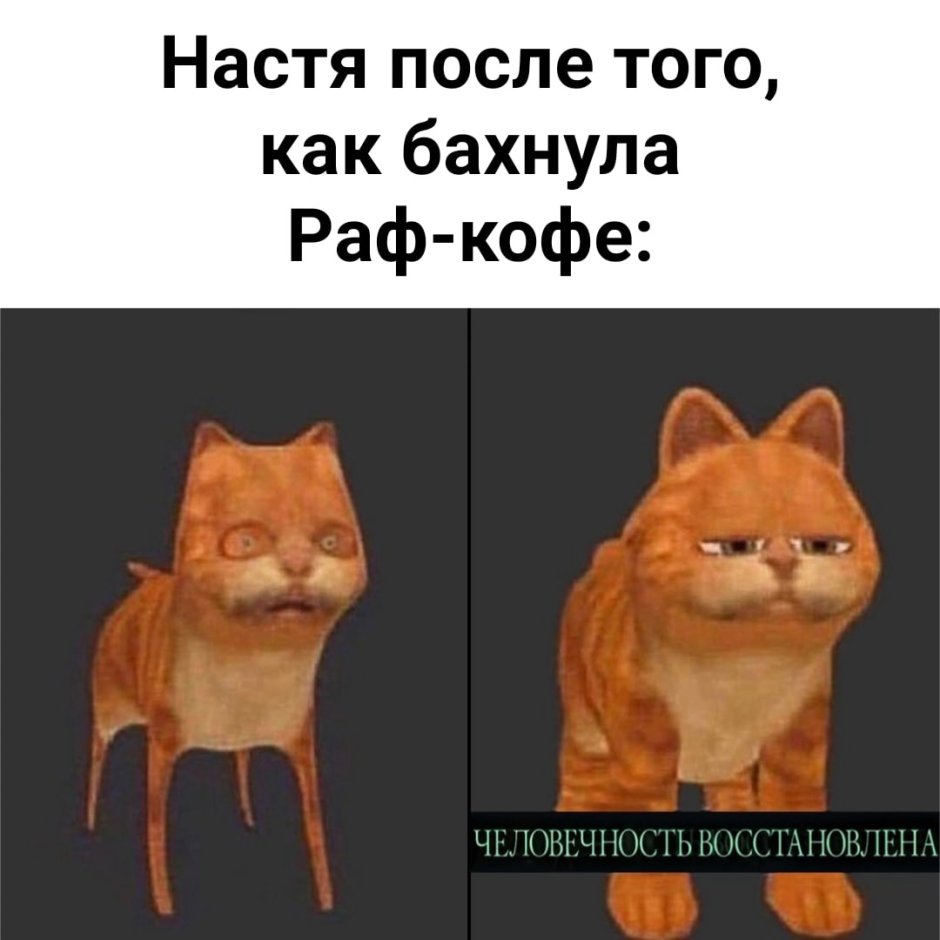 Кот чихает видео