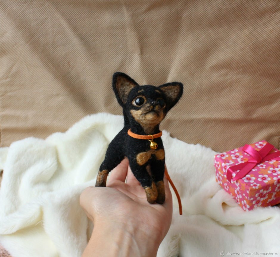 Чихуа Милли