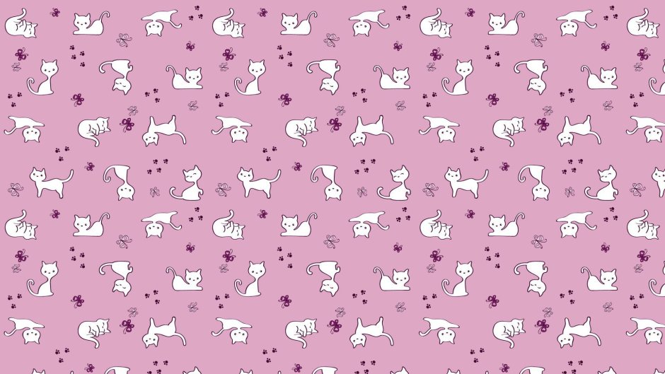 Лапка котика
