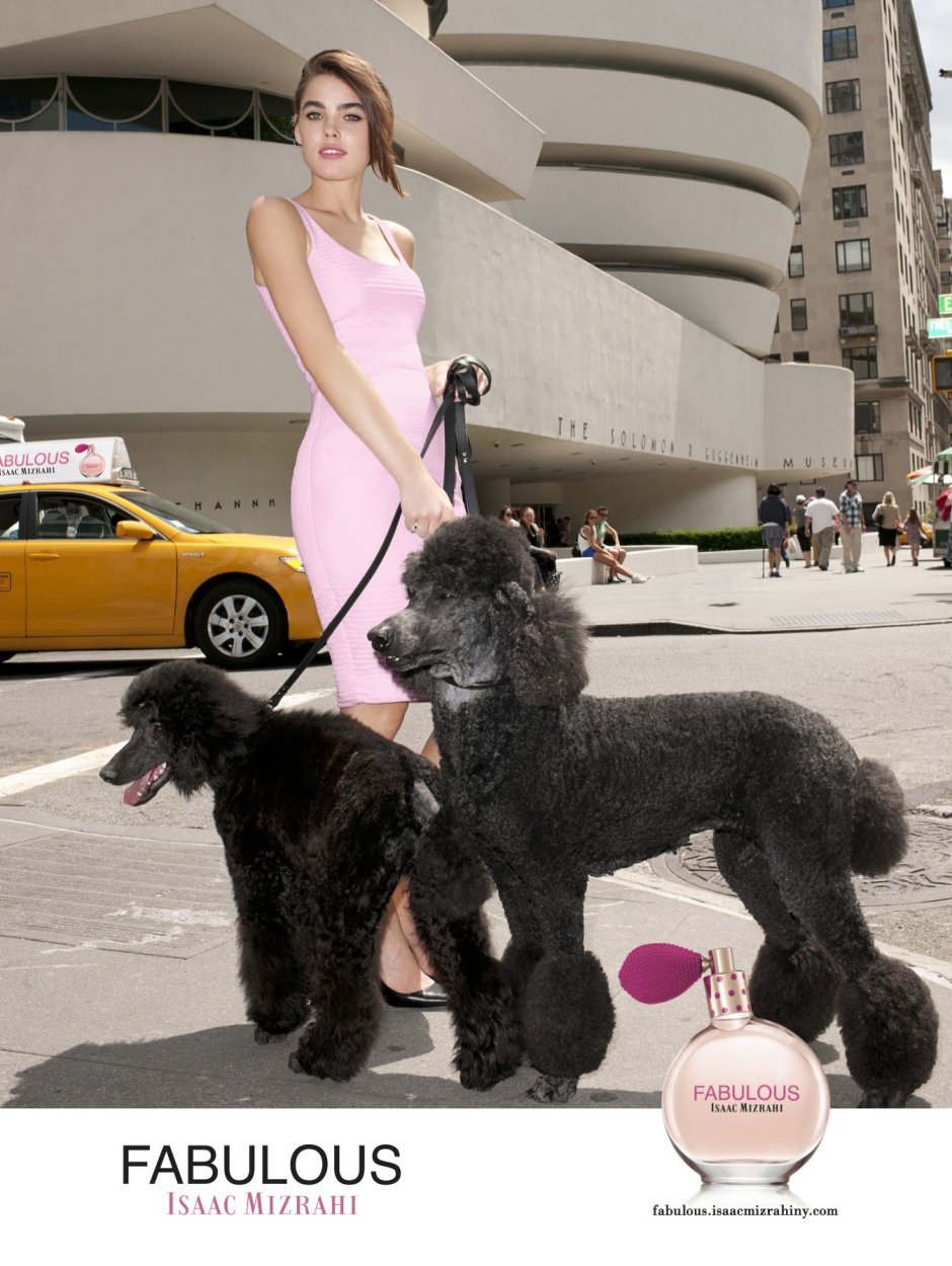 Лежачий пудель