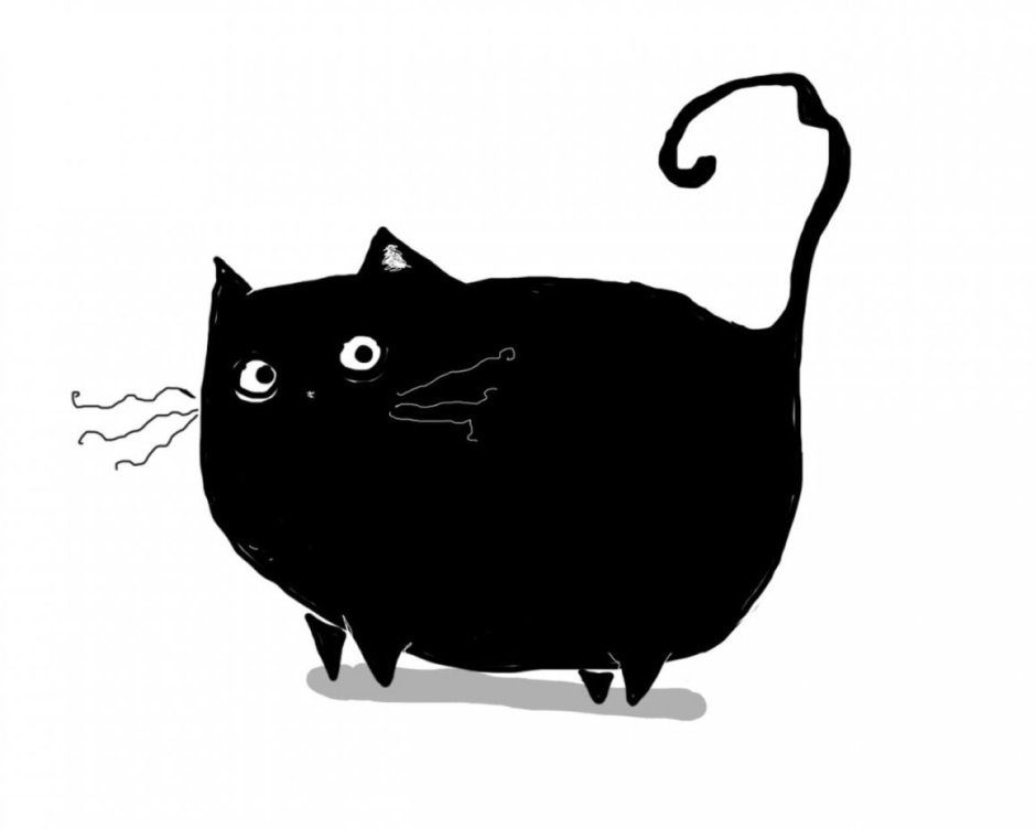 Толстый черный кот