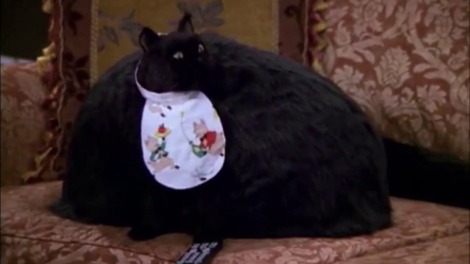 Сабрина маленькая ведьма Салем