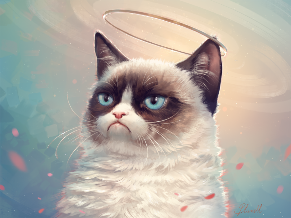 Котики арт