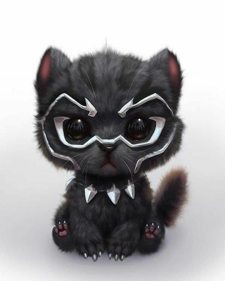 Смущение кот