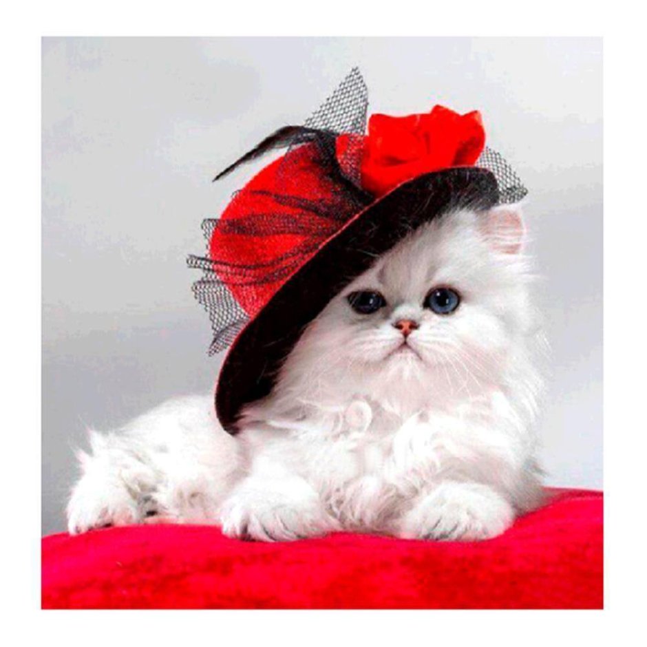 Кошечка с бантиком