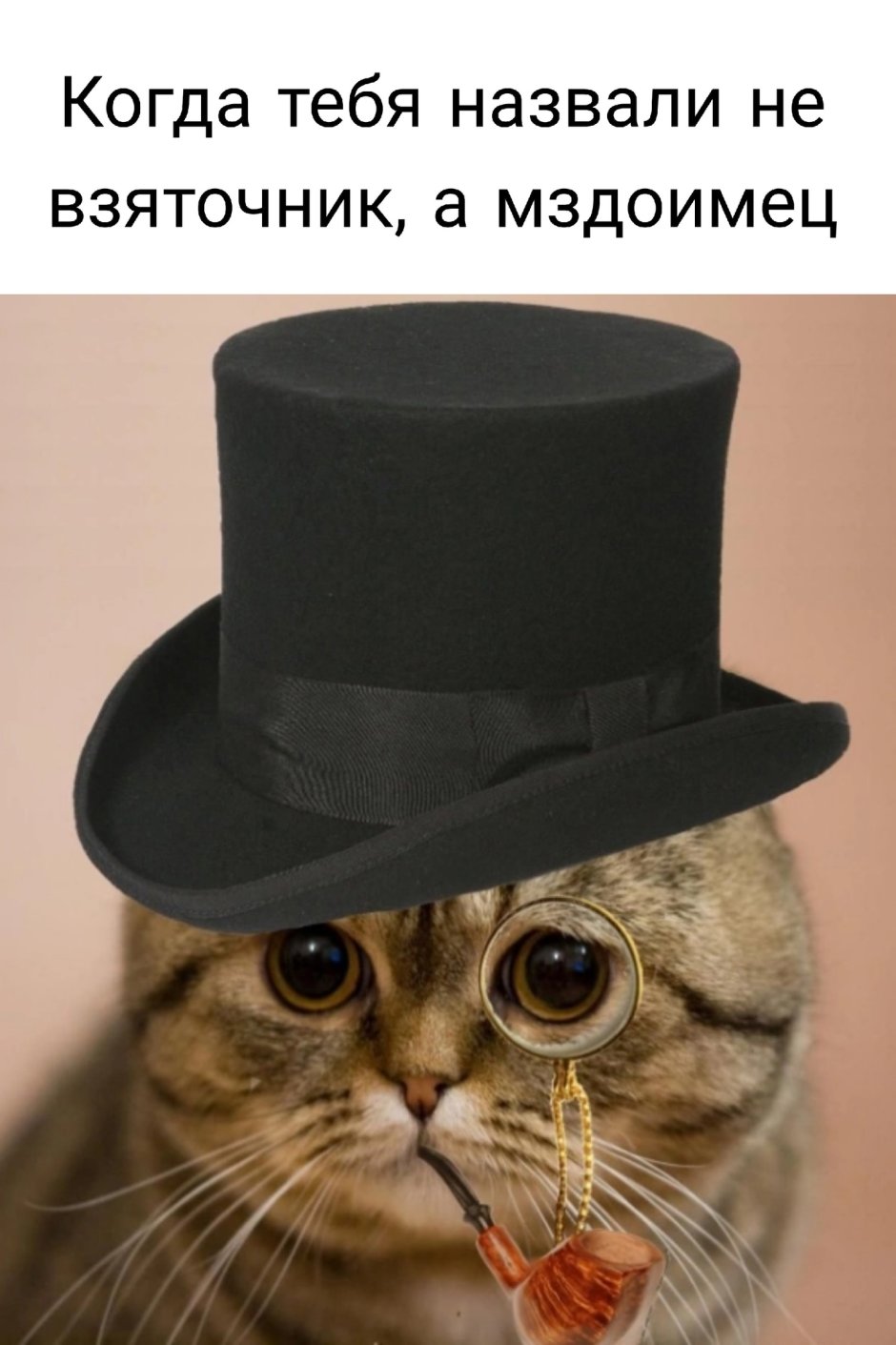 Кот в шляпе