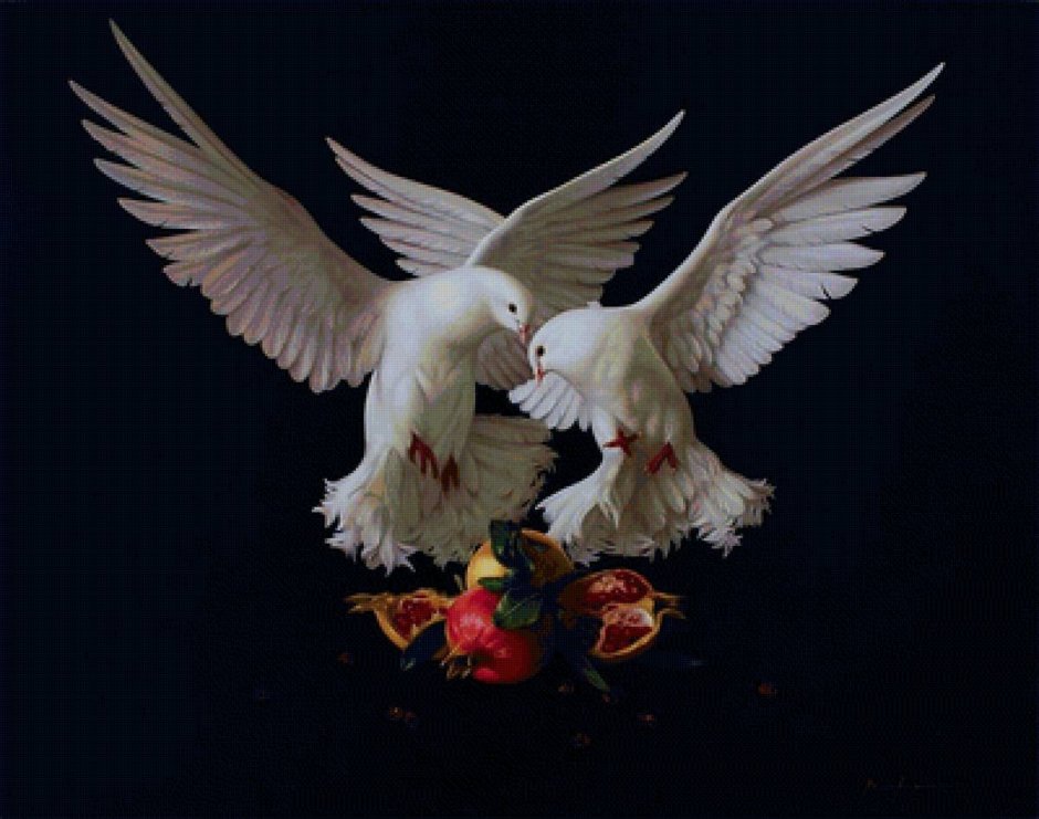 Пермские высоколетные голуби чёрные