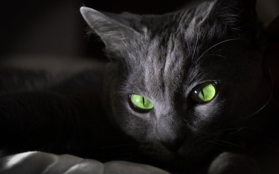 Кошачий глаз