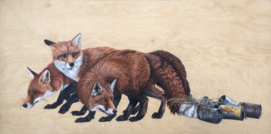Кошки породы каракал