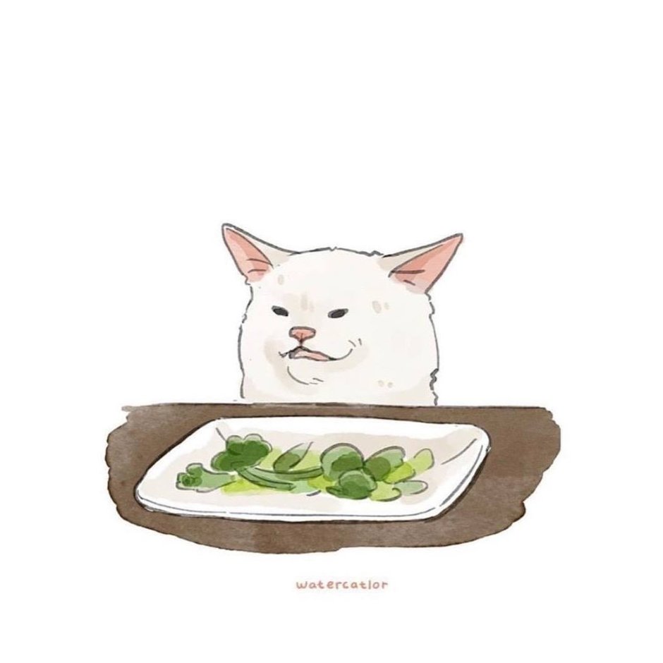 Мем с котом за столом