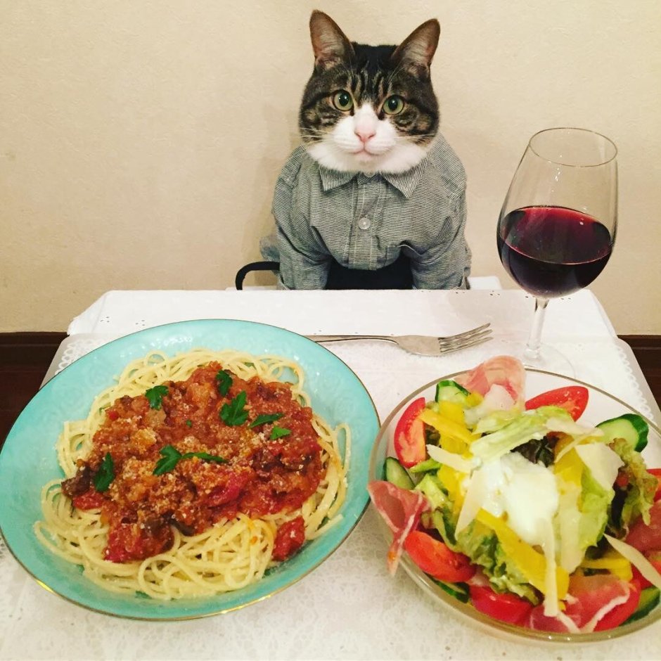 Котейка с едой