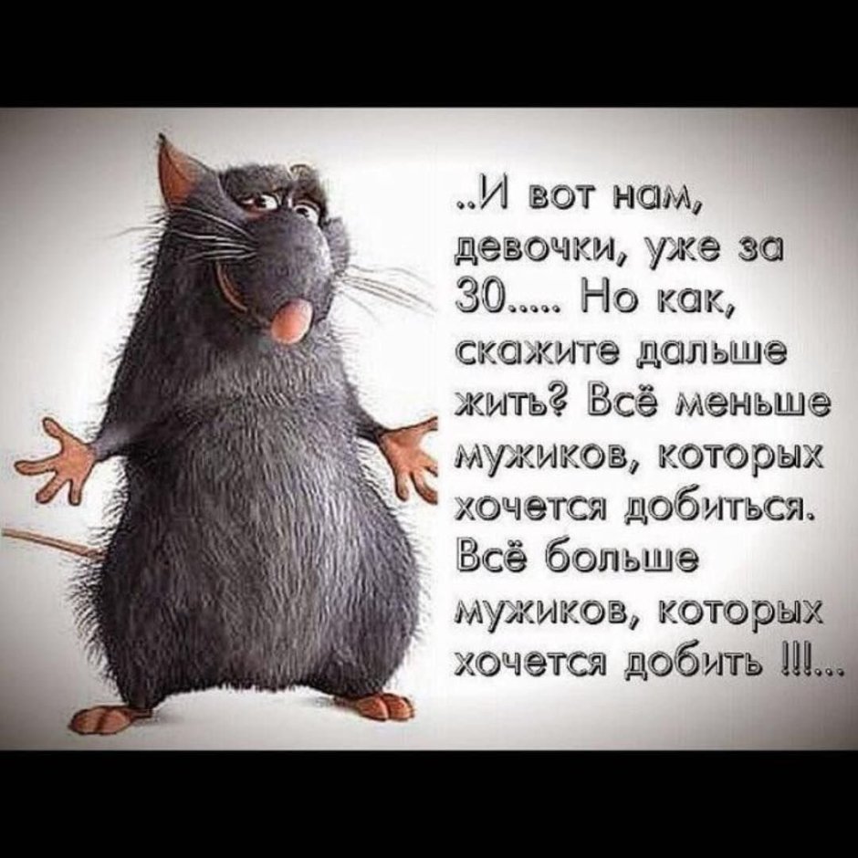 Крыса Минимализм