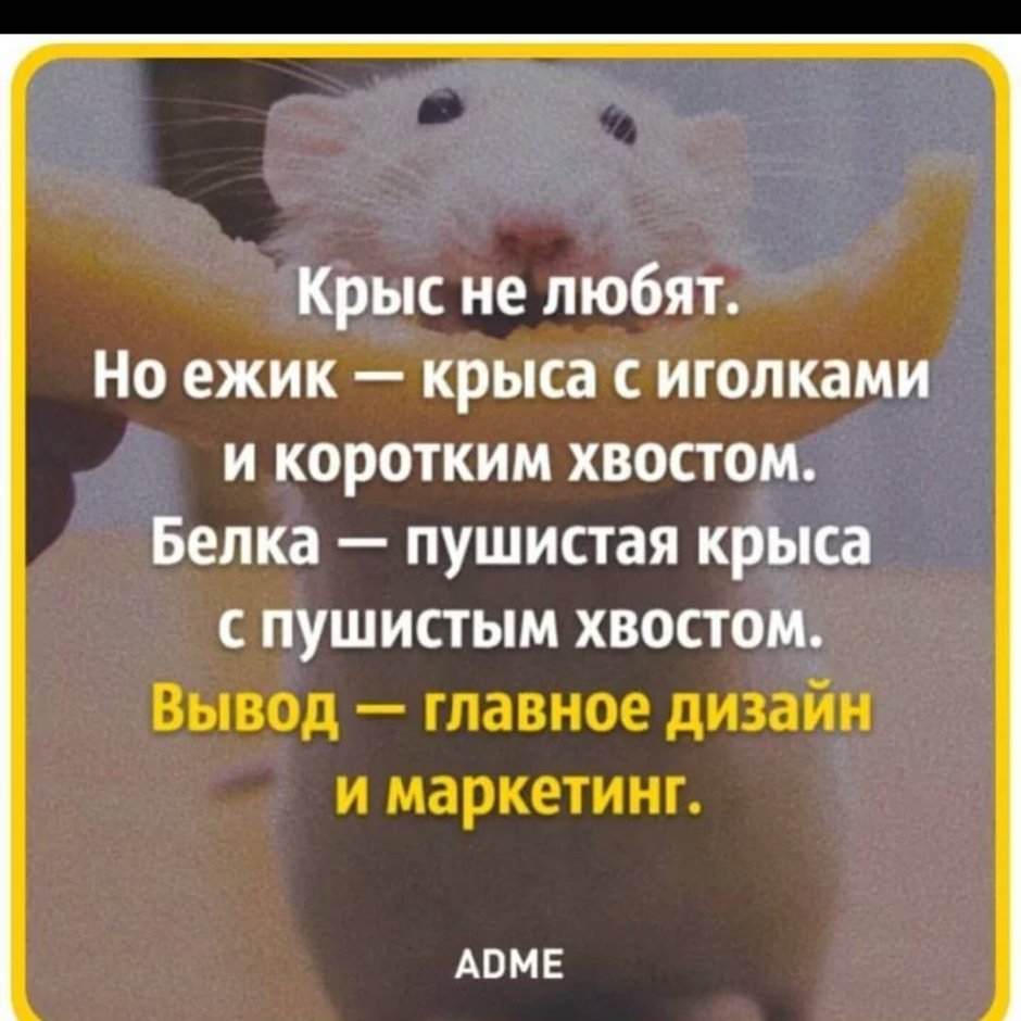 Милые крыски