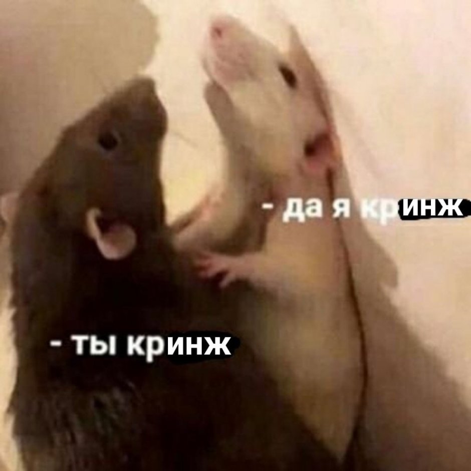 Мистер крыс