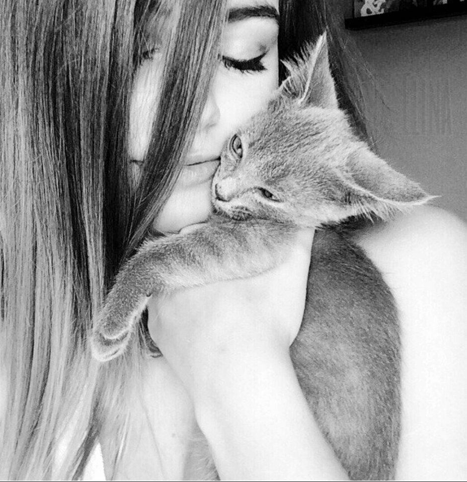 Котята Эстетика