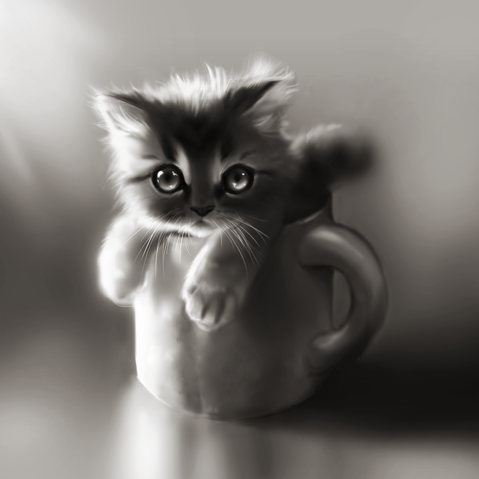 Котенок тумблер