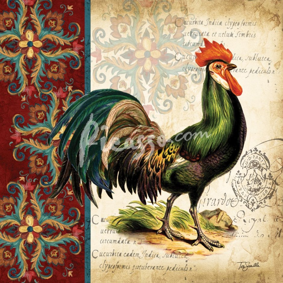 Петух в пиджаке