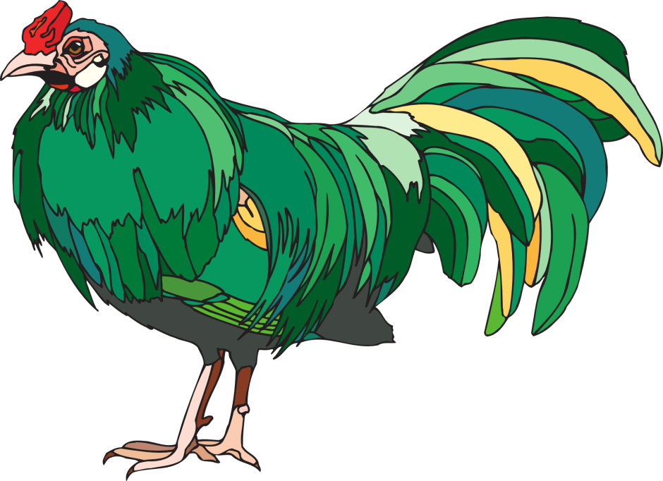 Королевский фазан красный