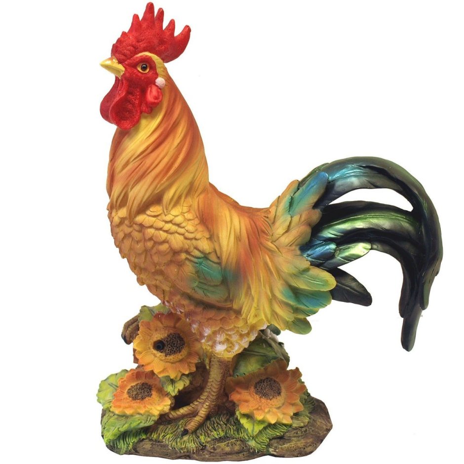 Красивый петух