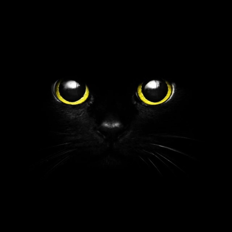 Кошачий глаз