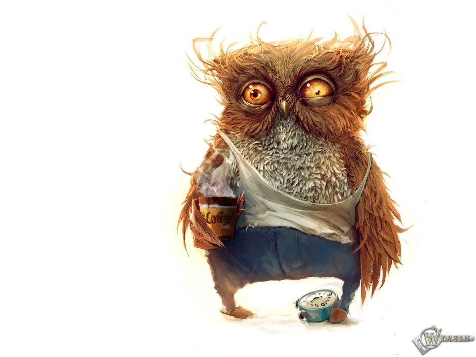 Сова сипуха