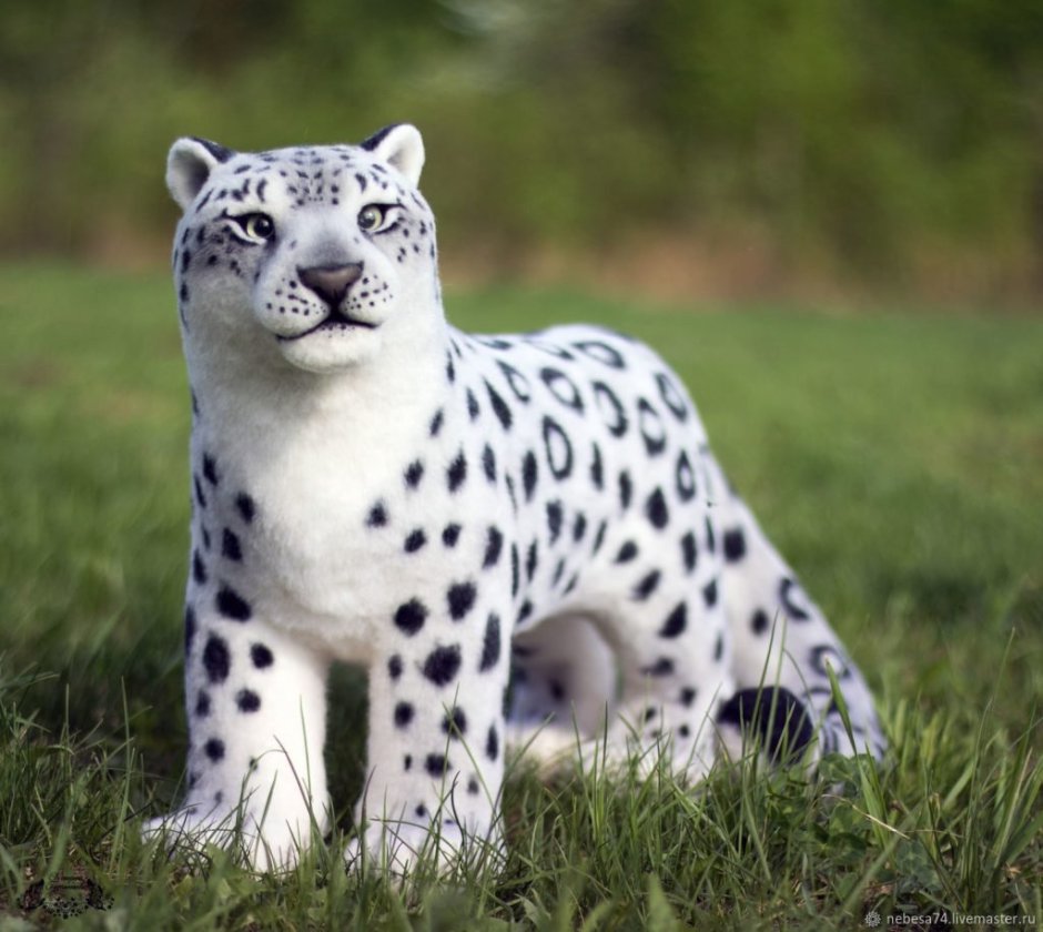 Барс и тигр