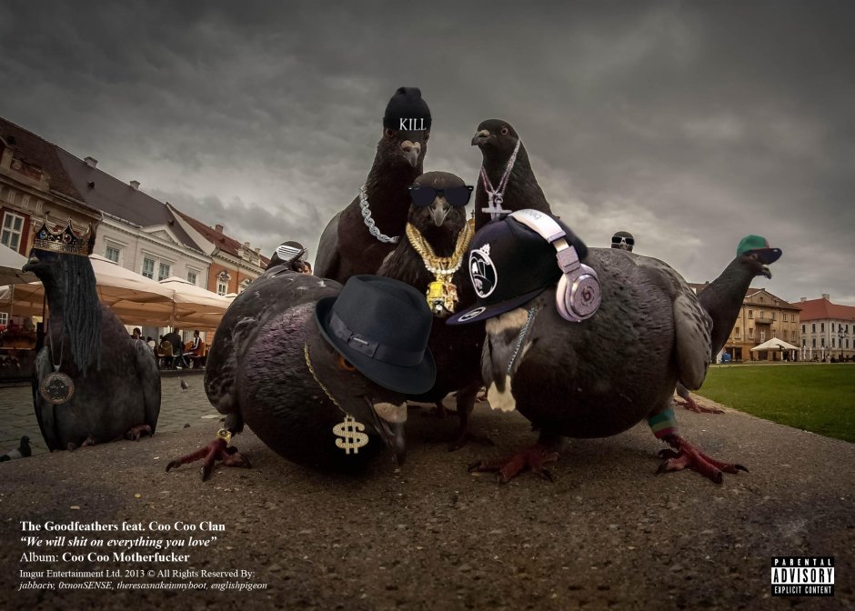 Самый большой голубь