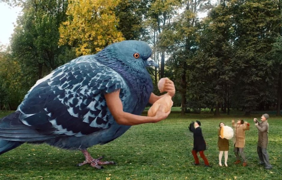 Грустный голубь