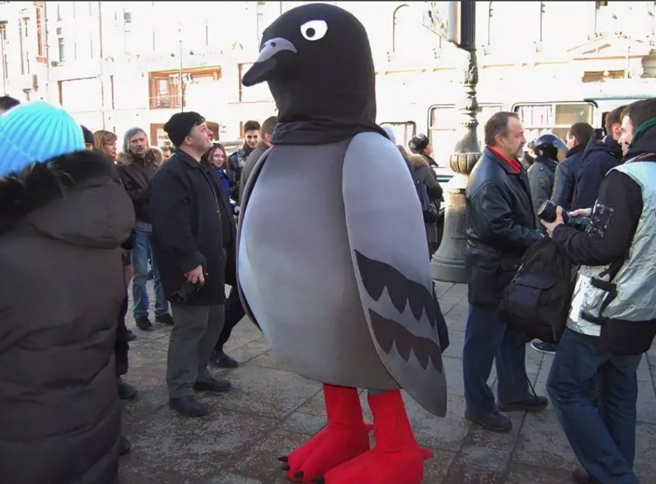 Смешной голубь