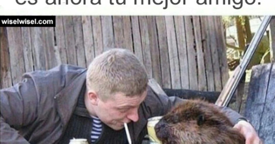 Лысая крыса Дамбо