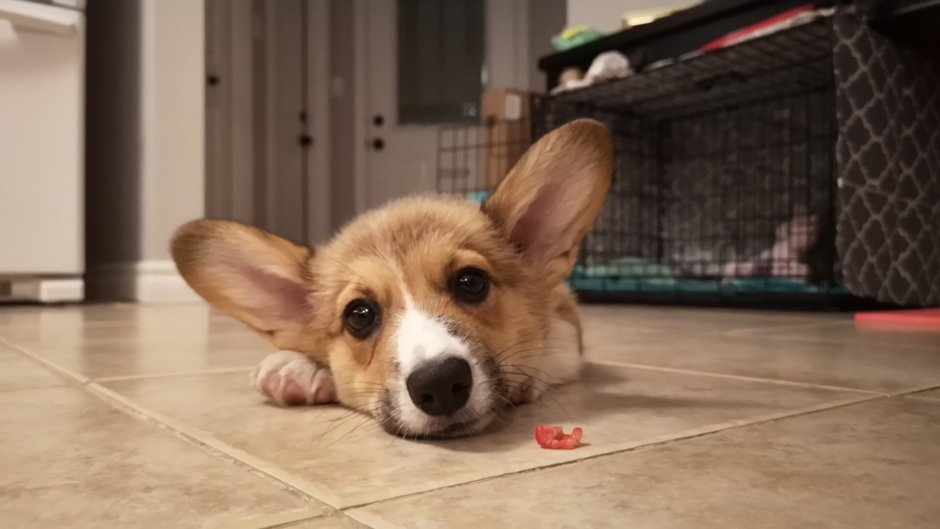 Милые заставки на рабочий стол