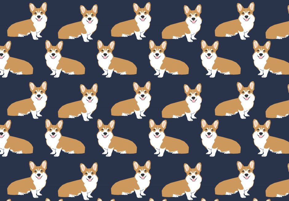 Вельш корги и цветы