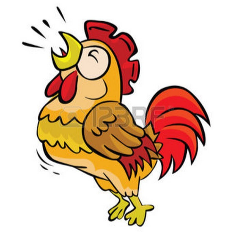 Петух поет мультяшный