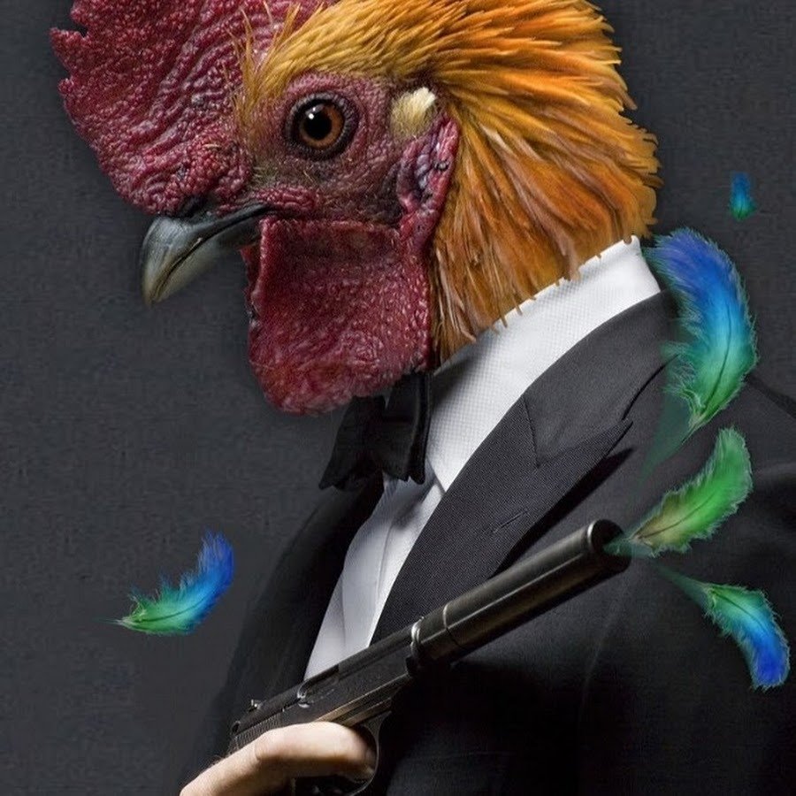 Крутой петух