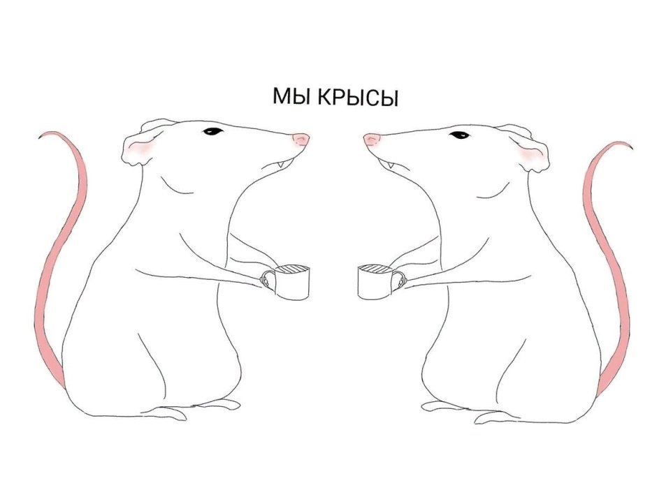 Крыса надпись