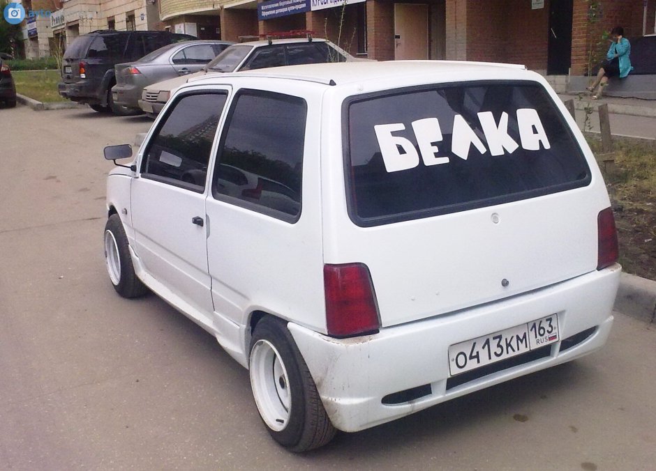 Белка в норке