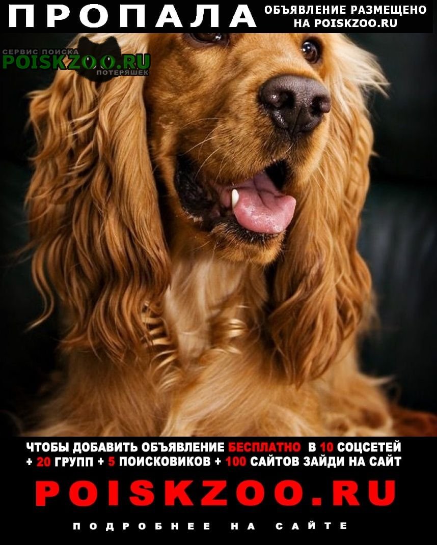 Английский Кокос паниель