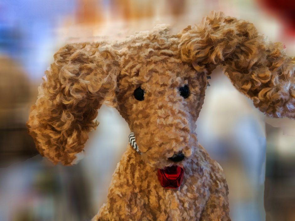 Кокер Чарльз Кинг