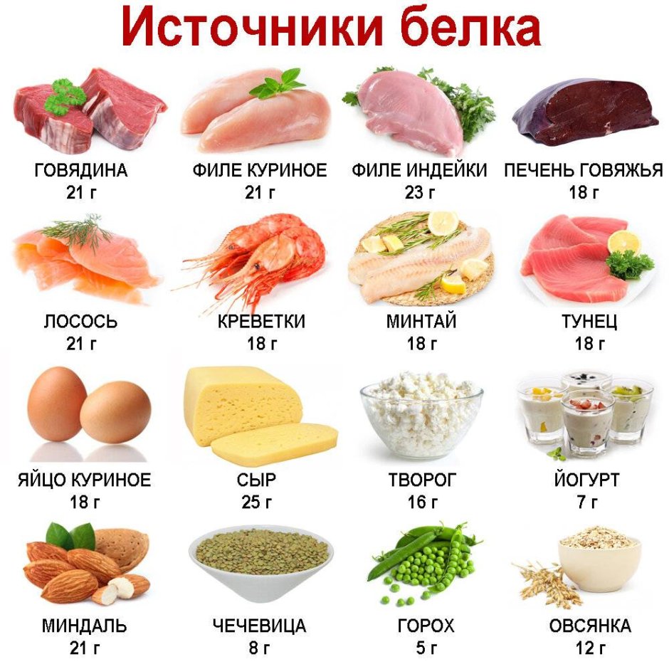 Продукты с высоким содержанием белка список