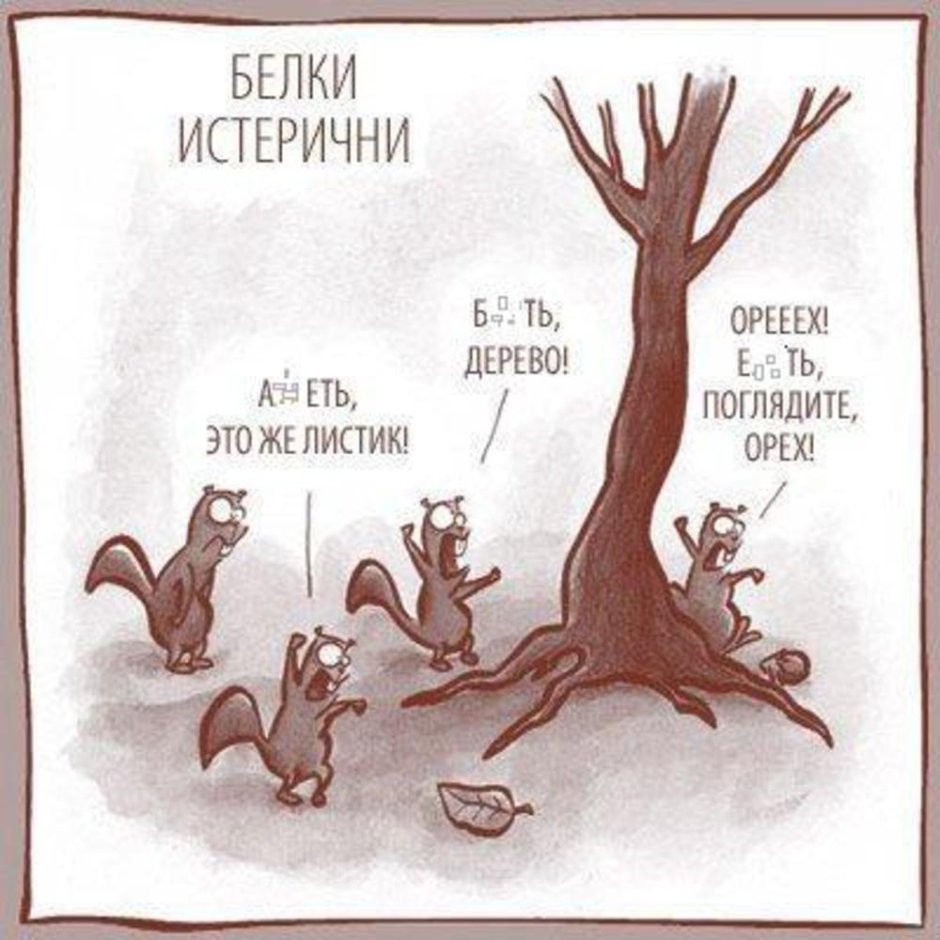 Белка на бревне