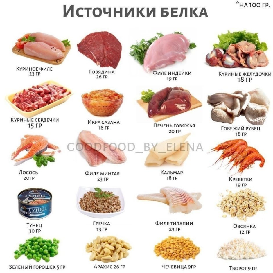 Обои осень белка