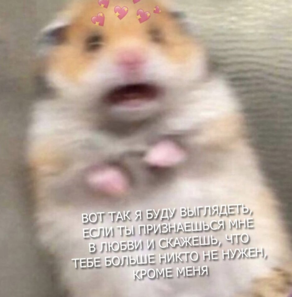 Хомяк смеется