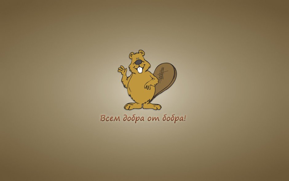 Бобер дурак