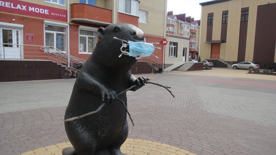 Тест на капибару