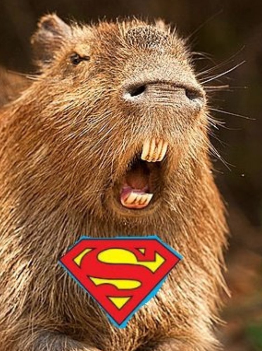 Нутрия и капибара