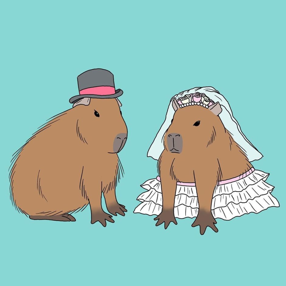 Черная капибара